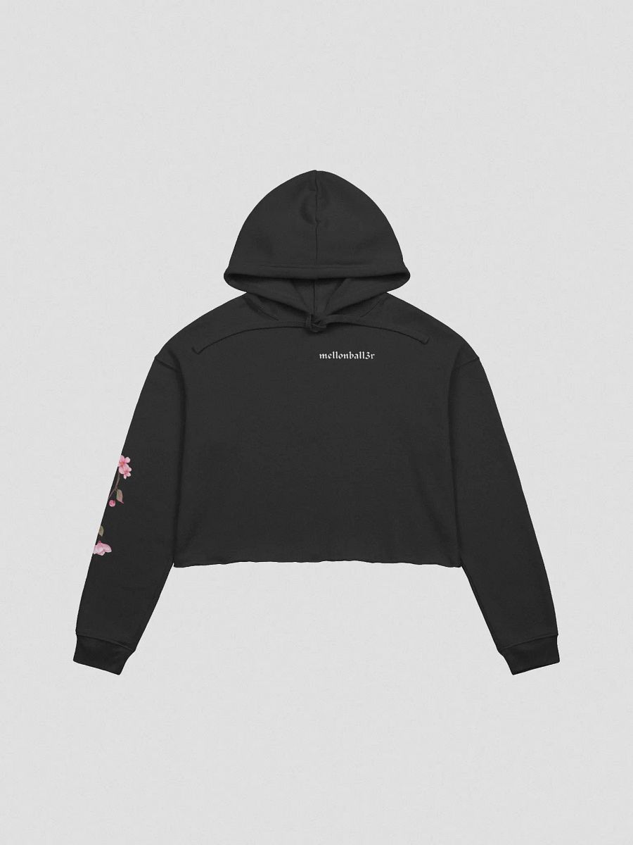 fkrs cropped hoodie product image (2)