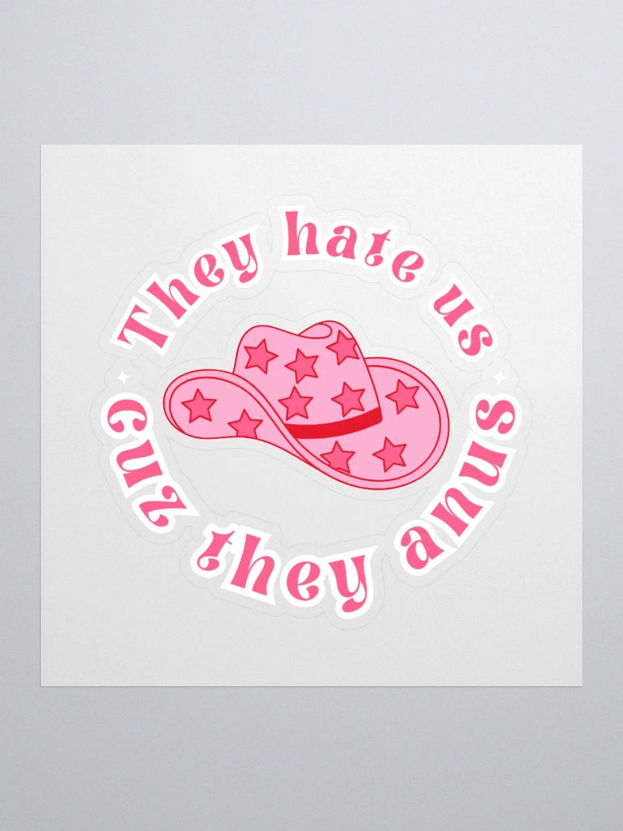 They hate us Sticker product image (2)