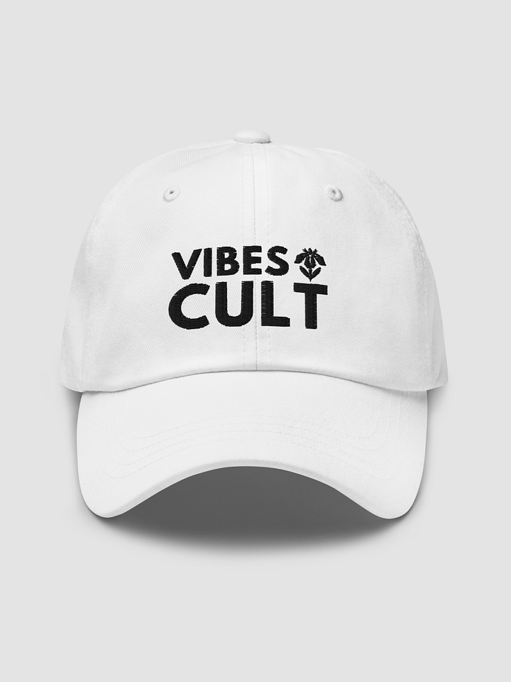 Embroidered Dad Hat - VIBES CULT product image (1)