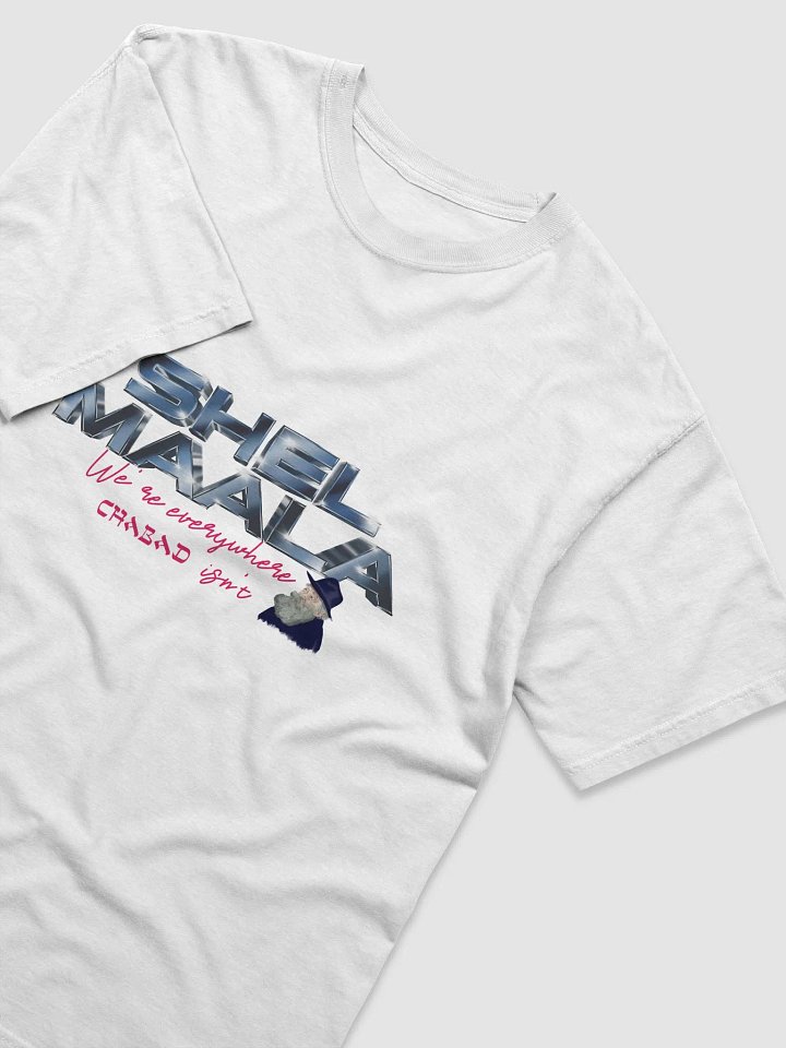 We're Everywhere Chabad Isn't Tee product image (81)