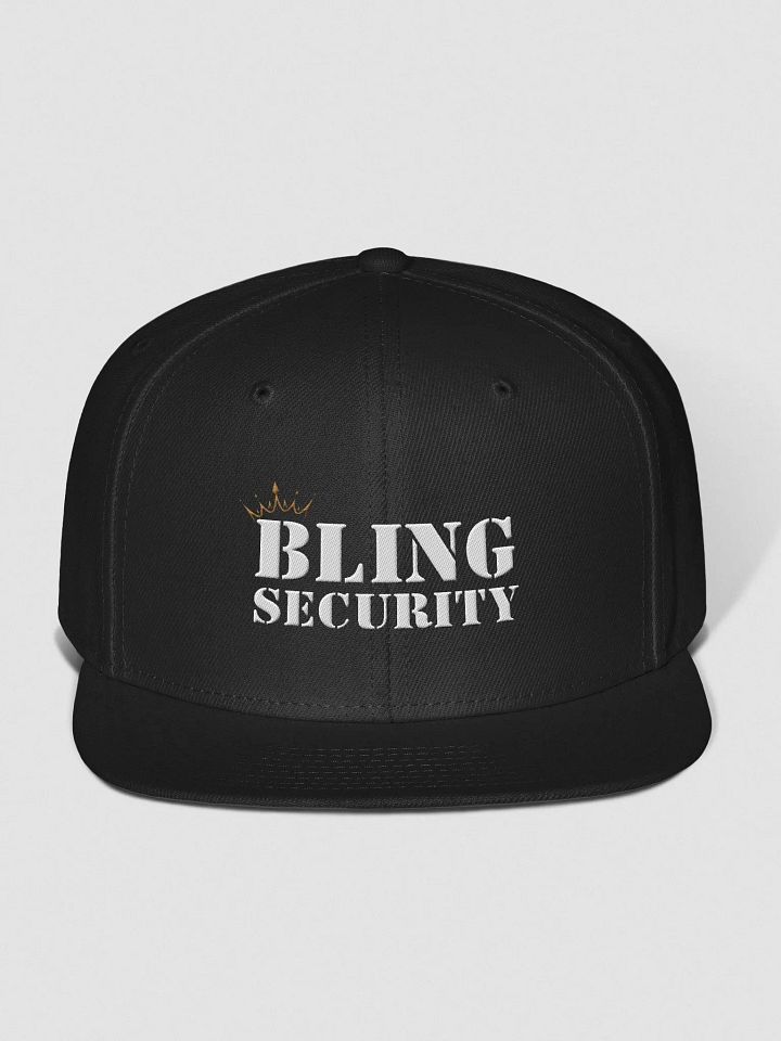 Snap Security product image (1)