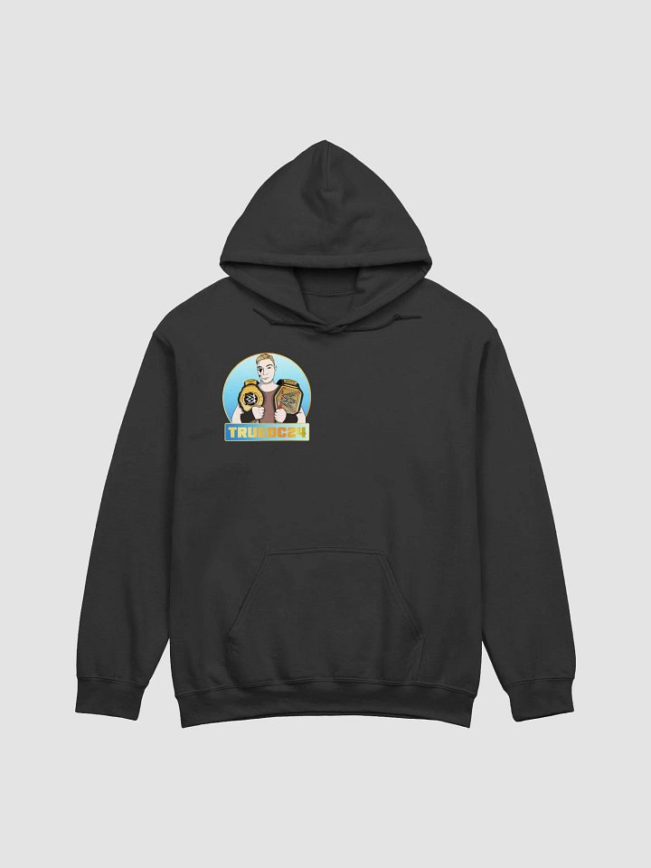 TrueDC24 Logo Hoodie product image (2)