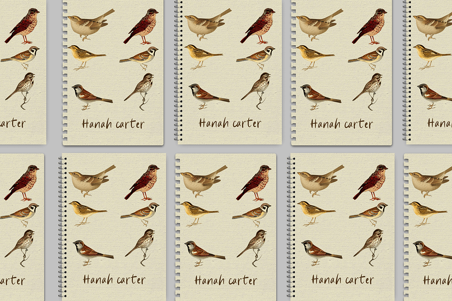 Sparrow: Notebook Cover Canva Template product image (5)
