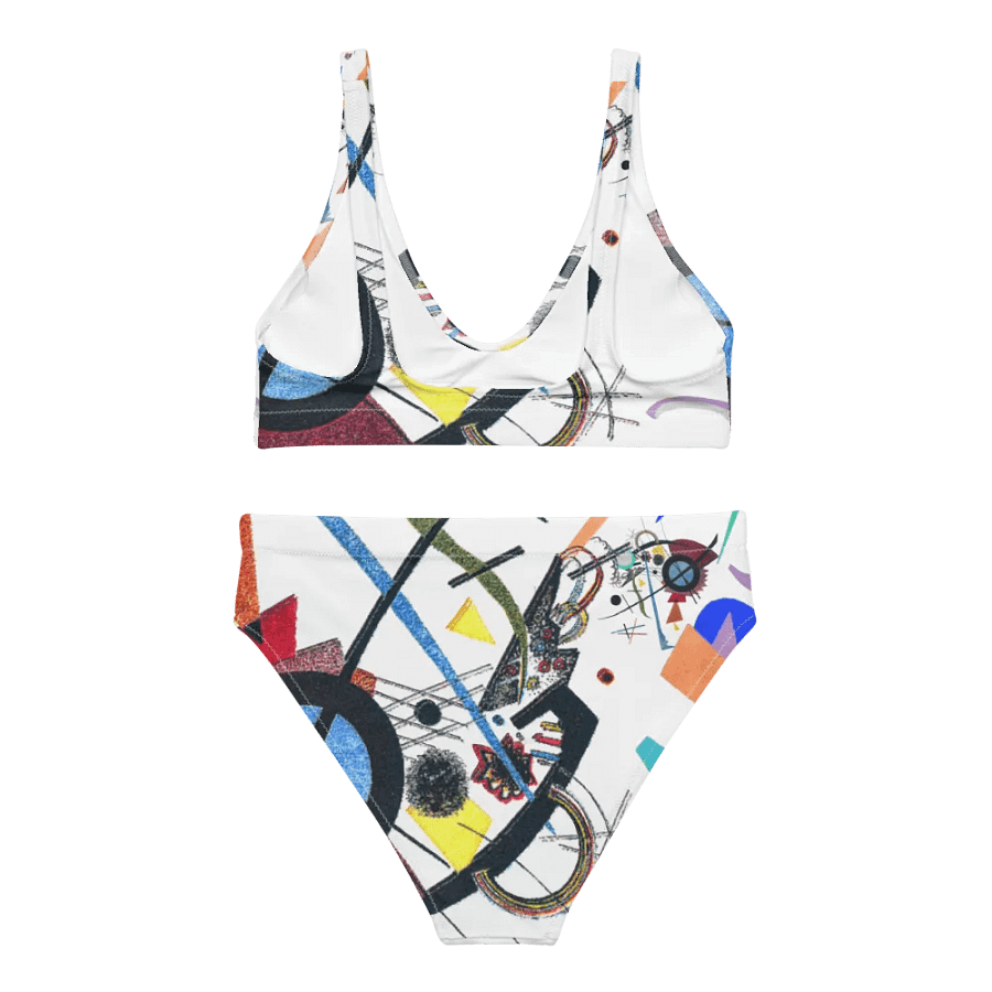 Abstract Lithographic Pattern Design High Waisted Bikini - V2 product image (4)