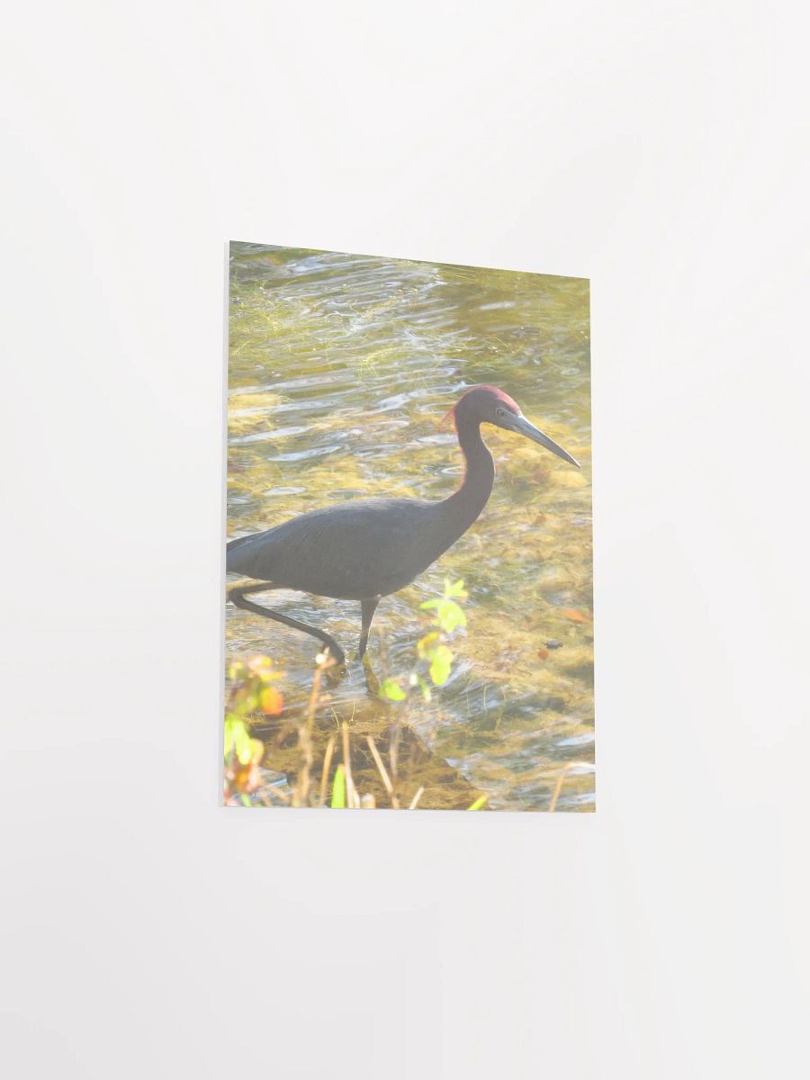 Heron product image (35)