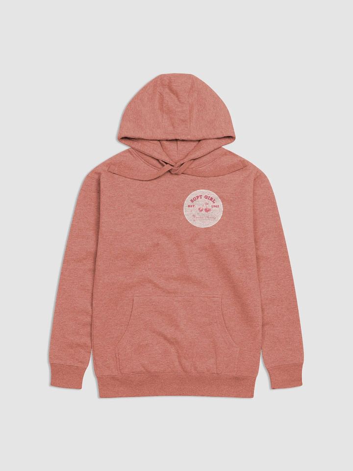 Vintage Cherries Hoodie product image (1)