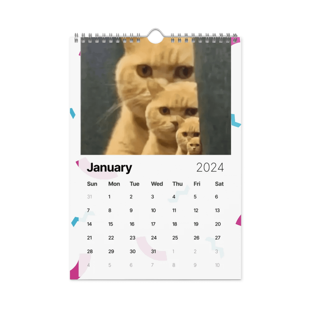 Wall Calendar (2024): Meme Cats product image (8)
