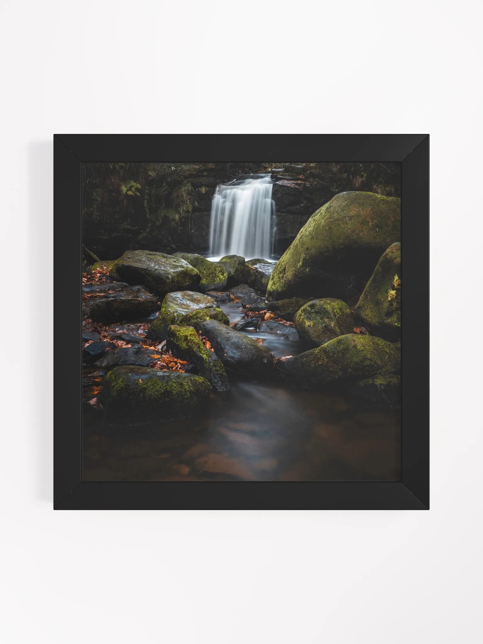 Thomason Foss product image (3)