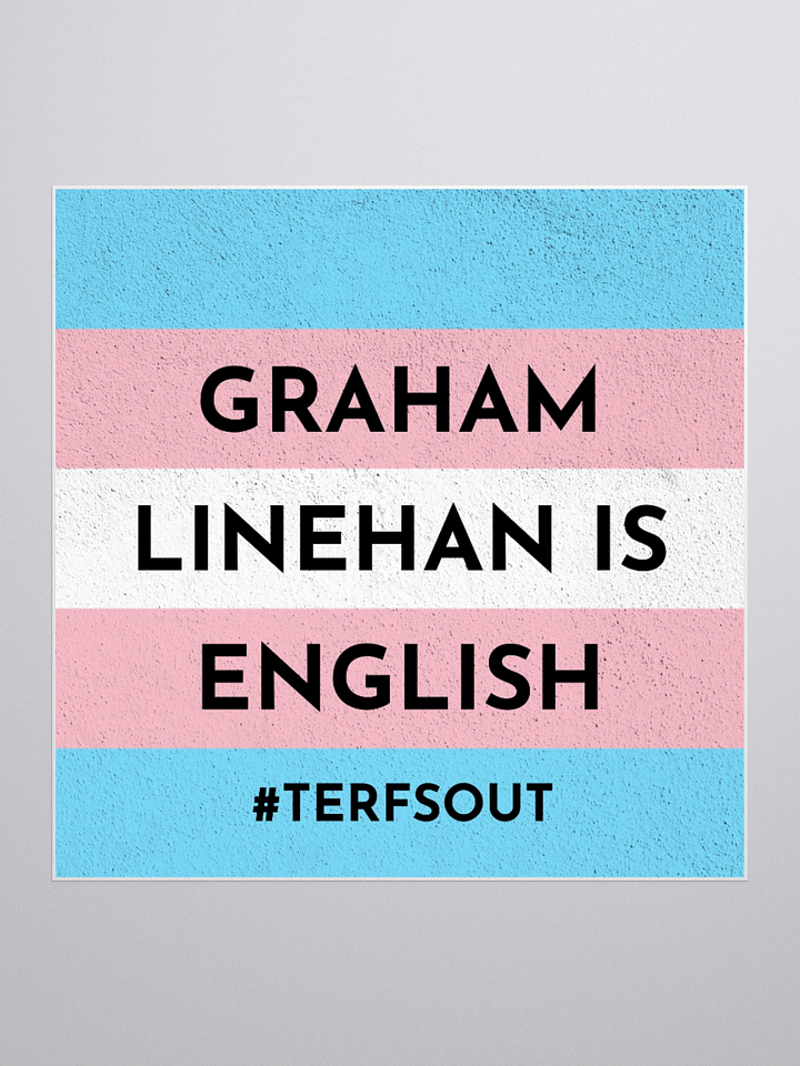 GL is English - TERFS OUTS sticker product image (3)