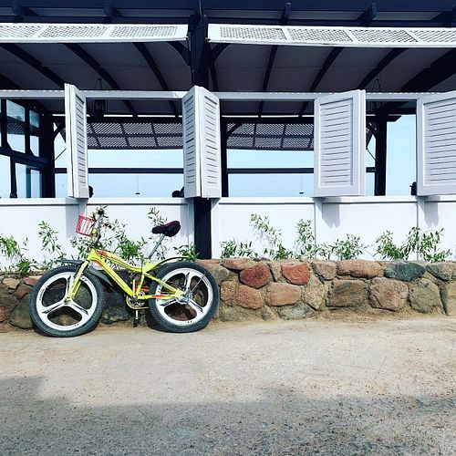 🚲☀️