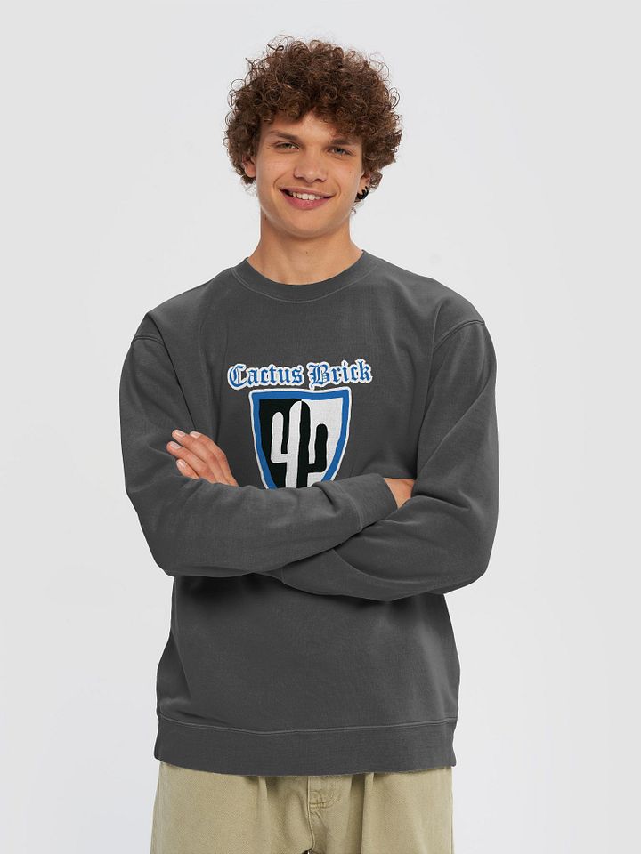 Cactus Brick (Sweaters) - Castle Shield product image (2)