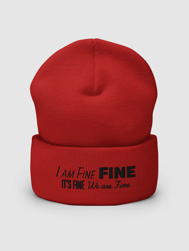 FINE Cuffed Beanie product image (2)
