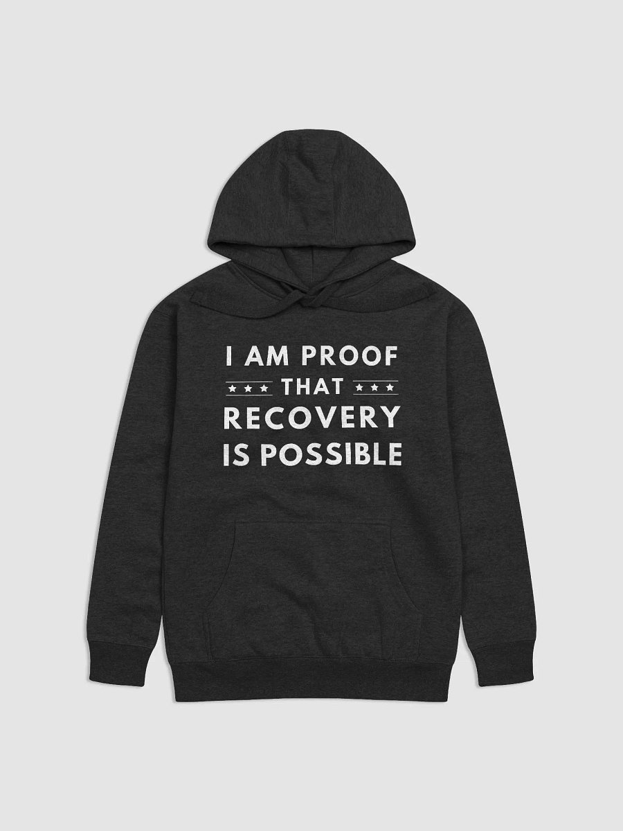 I Am Proof That Recovery Is Possible Hoodie product image (1)