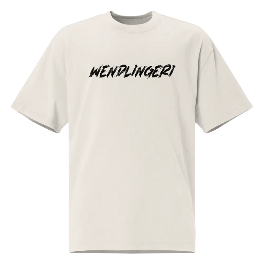 WENDLINGERI 🌀 oversized tee product image (6)