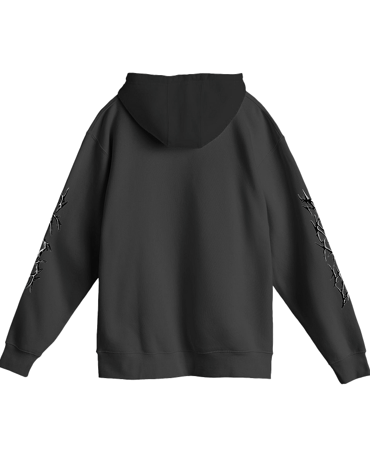 SHINE product image (2)