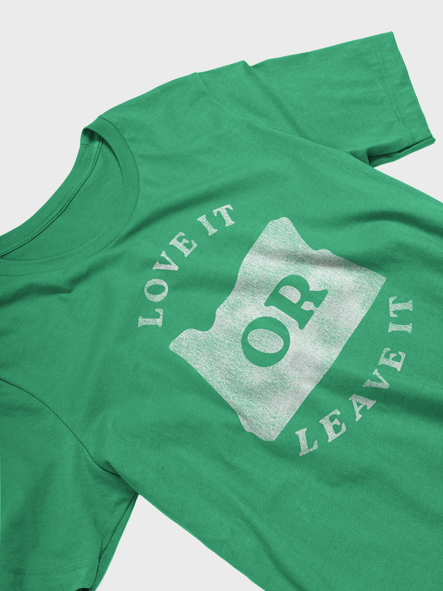 Love it OR Leave it T-shirt product image (13)