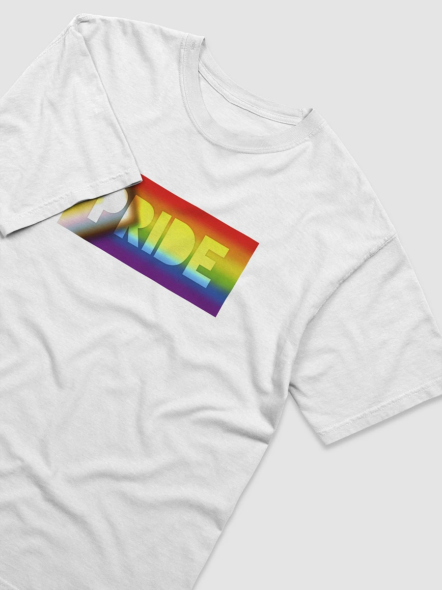 Inclusive Progress Pride On Display - T-Shirt product image (2)