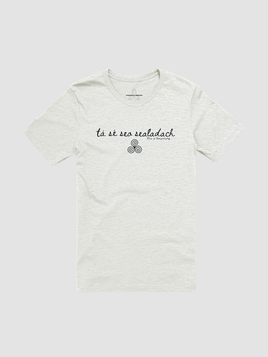 Tá Sé Seo Sealadach (This is Temporary) T-shirt Light Colors product image (1)