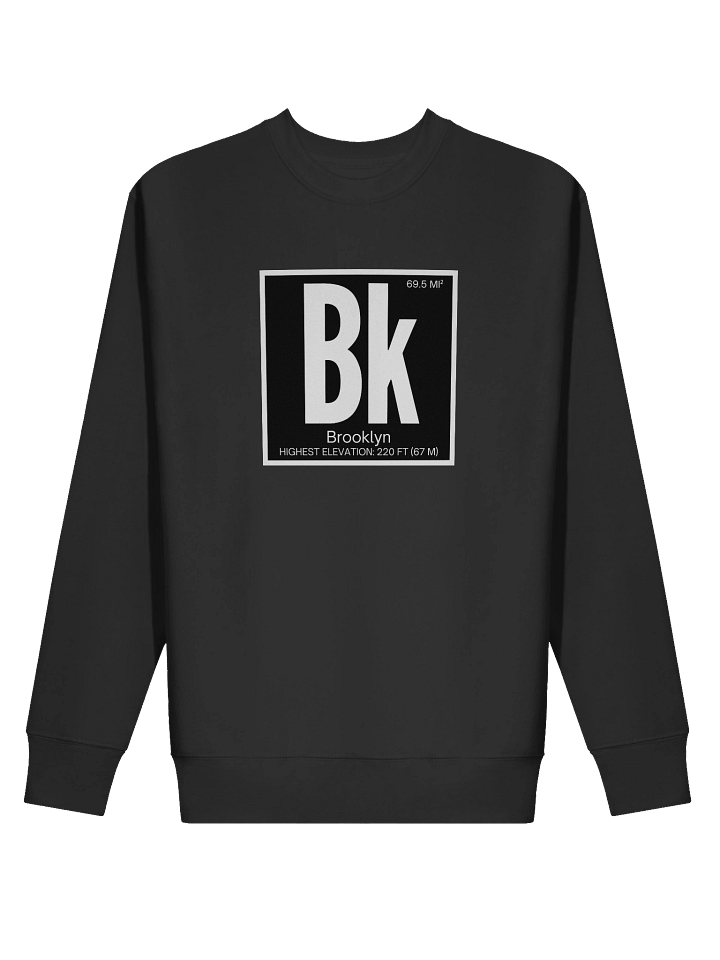 Brooklyn Element : Sweatshirt product image (9)