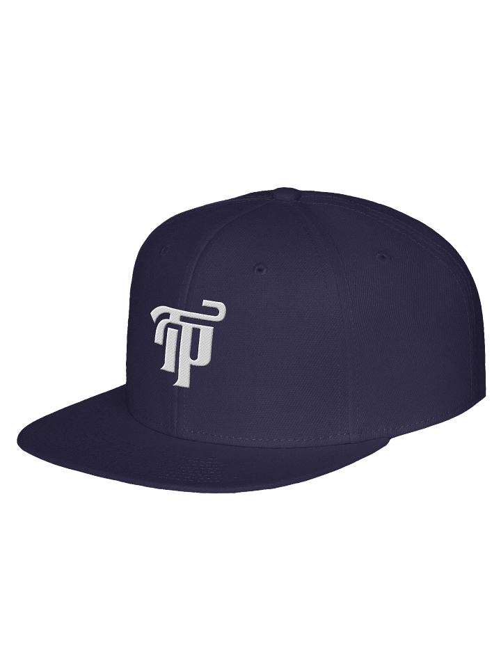 NEW Signature TP Snapback product image (2)