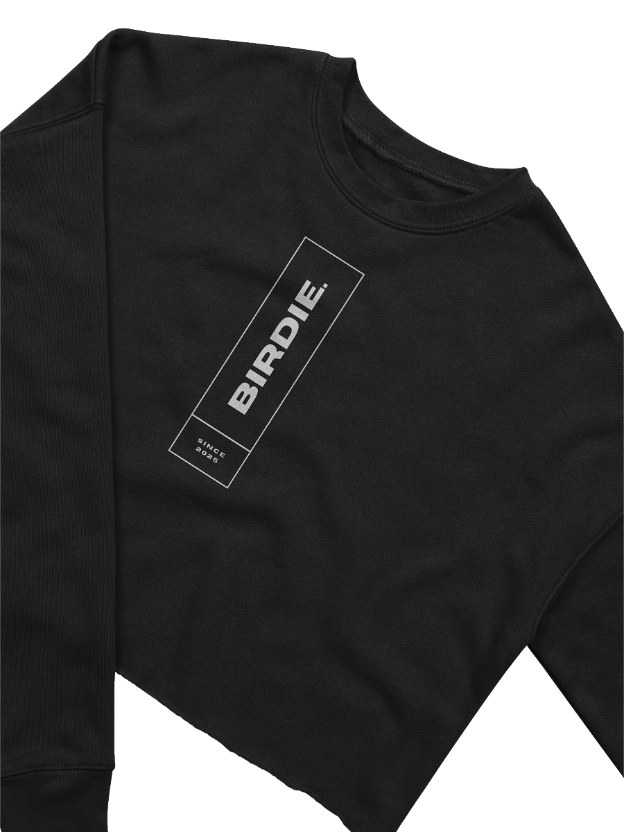 BIRDIE Since 2025 Logo Sweatshirt product image (15)