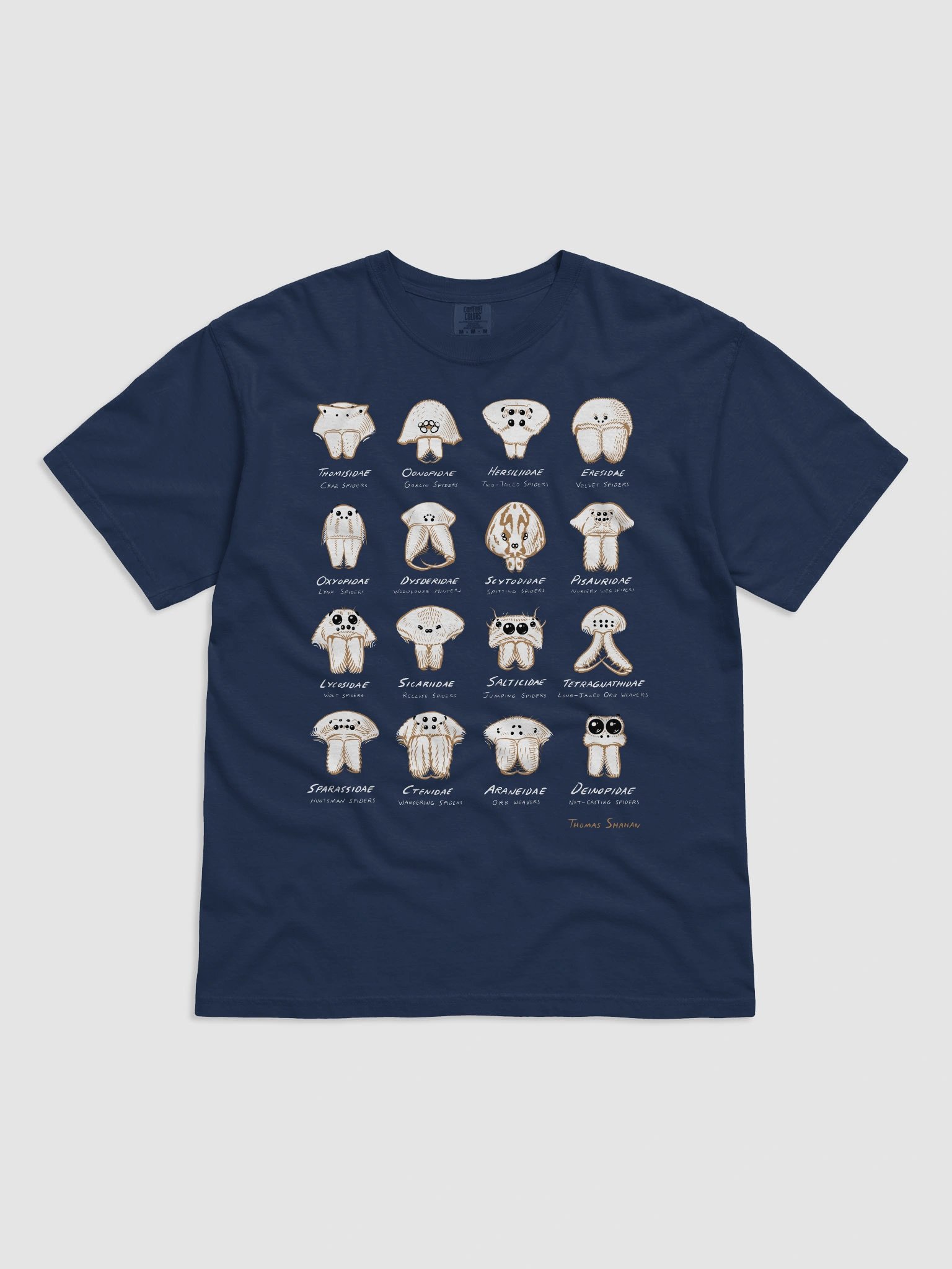 Spider Families Eye Arrangements Shirt product image (5)