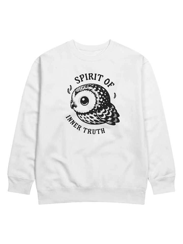 Spirit of Inner Truth Owl Sweatshirt product image (4)