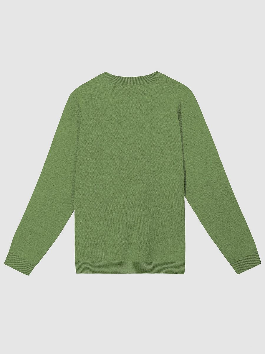PLEASE DON'T MAKE ME TALK (duotone green) knitwear classic crewneck product image (6)