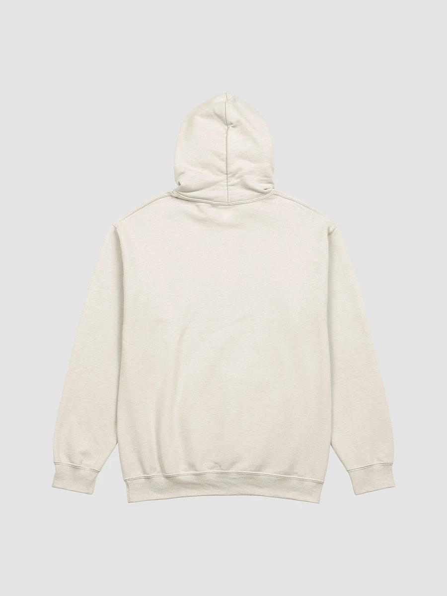 Spring Hoodie (3 Colors) product image (8)