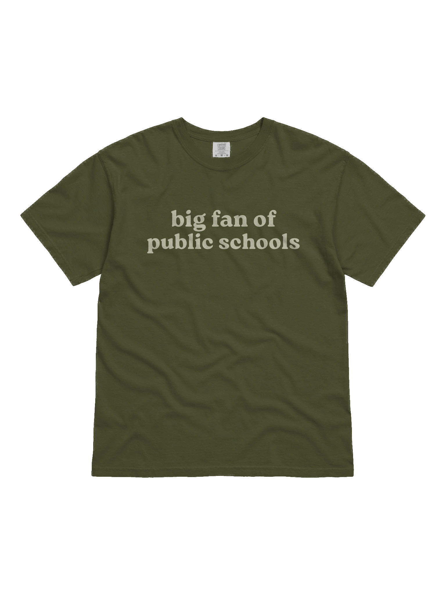 Big Fan of Public Schools Tee product image (1)