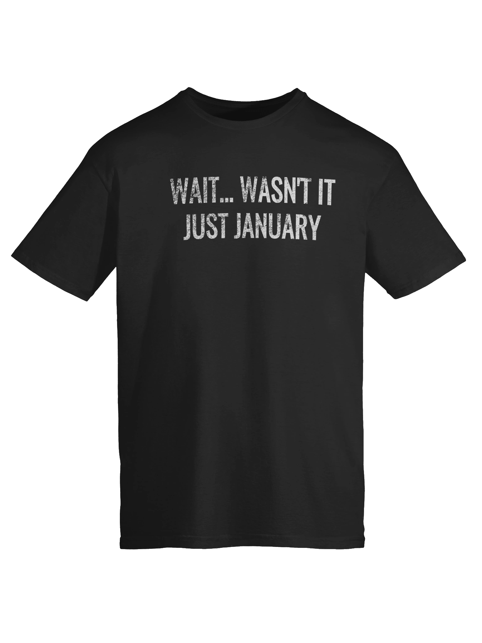 Funny Unisex T-Shirt 2025 - Wait… wasn’t it just January? product image (8)