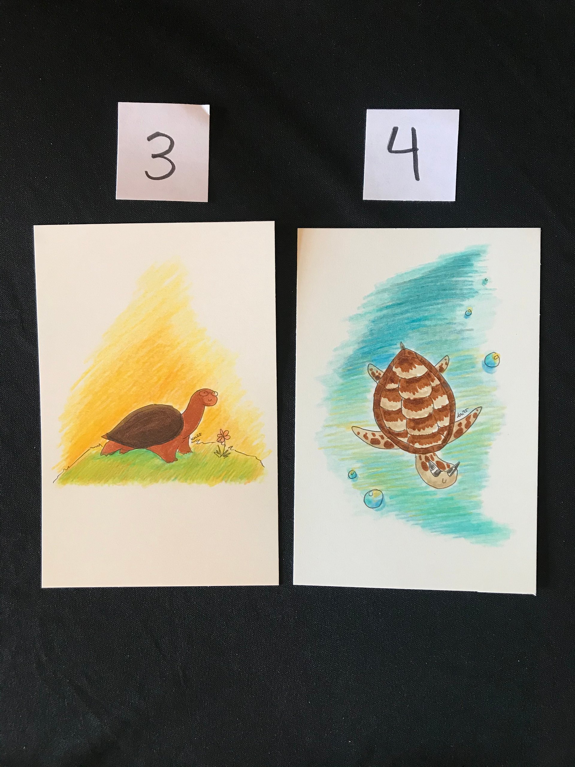 Turtles with Glasses Original Marker Illustrations product image (3)