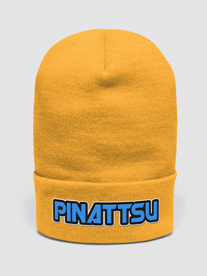 Cuffed Beanie - Blue product image (6)