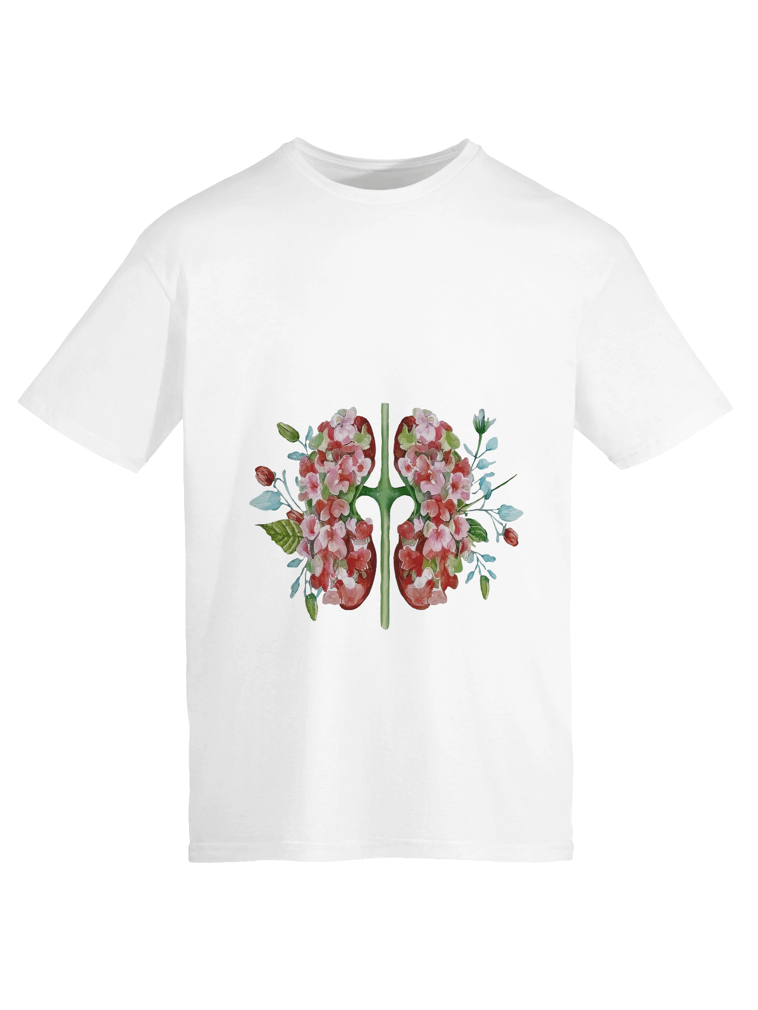 Botanical Anatomy Kidney Illustration product image (6)