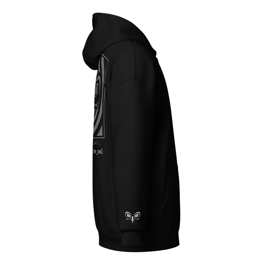 The Night Owl Hoodie product image (4)