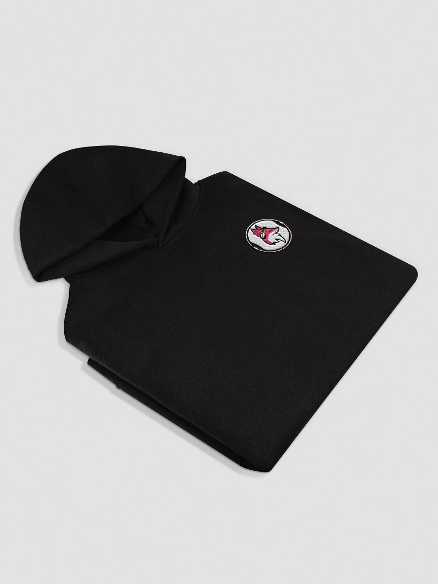 FoxyMandy Logo Oversized Hoodie product image (4)