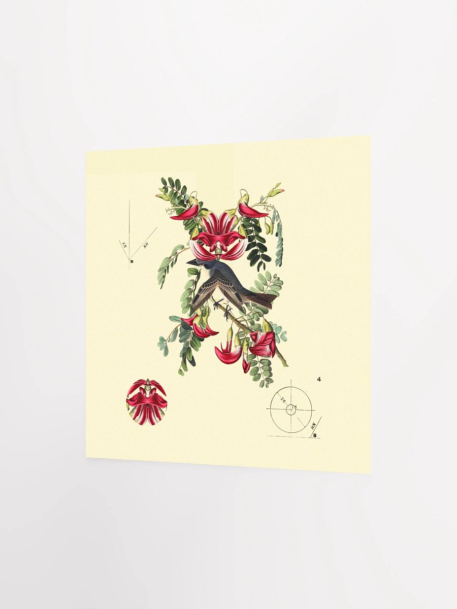 Bird Botanical Dadaism Poster product image (4)