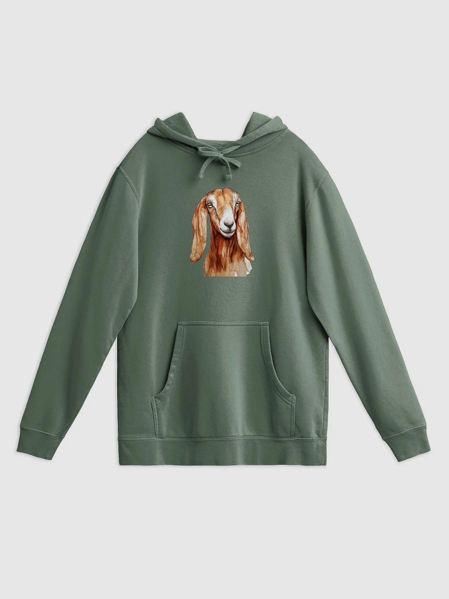 Dreamy Nubian Pigment Dyed Hoodie product image (1)