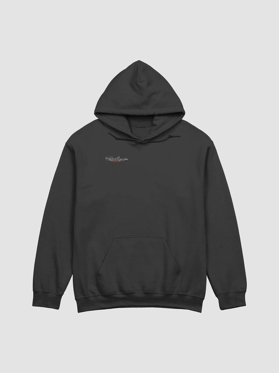 BORN WINNER WAVES & ROSES HOODIE product image (1)