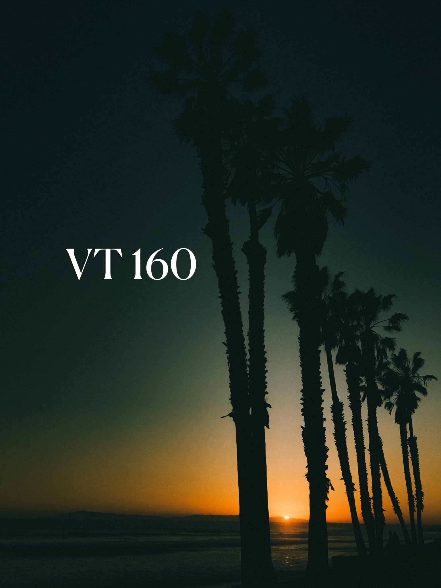 VT 160 (Lightroom Preset w/ ProRAW) product image (1)