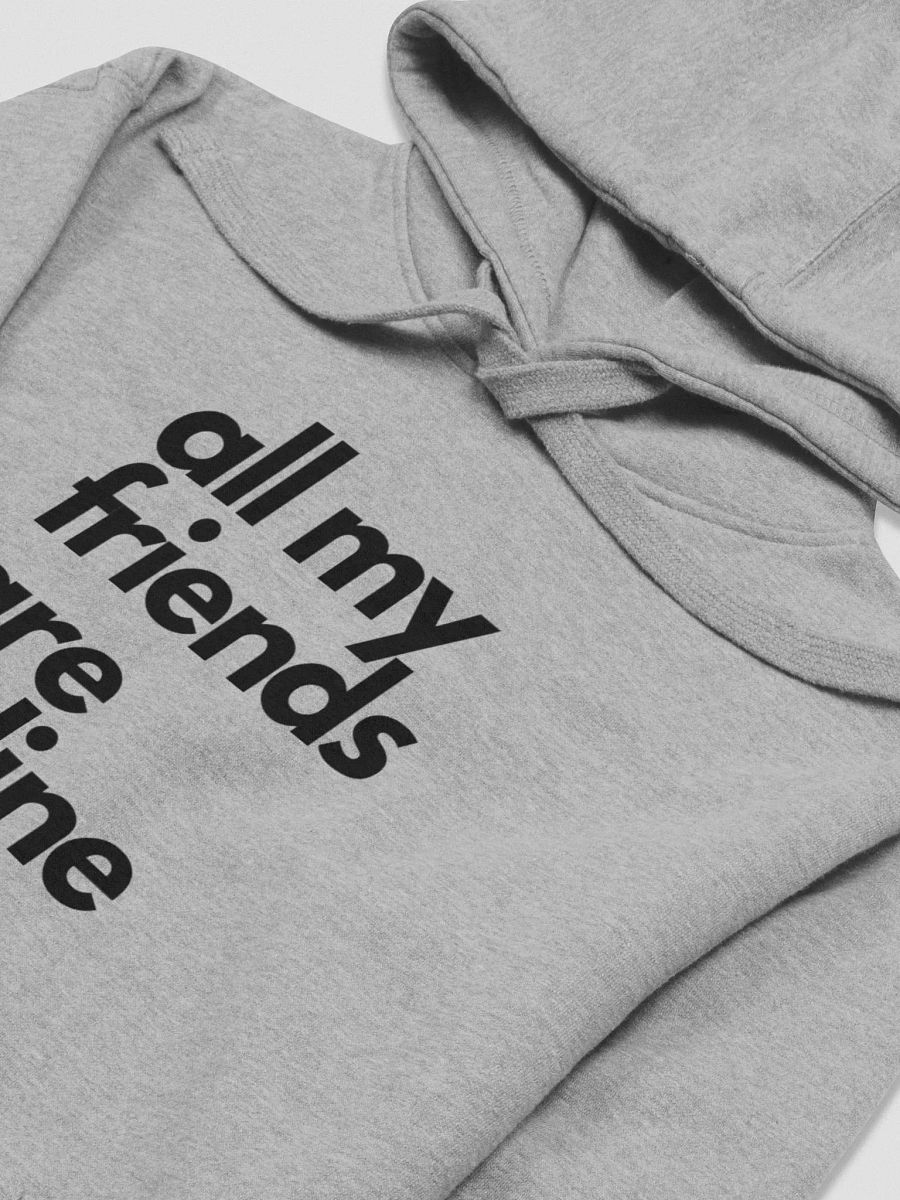 IDFKtv Friends Hoody product image (15)