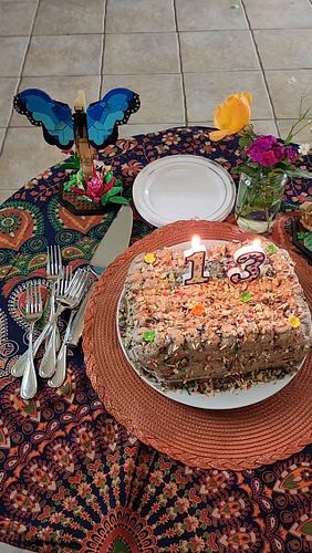 Festín de ALEGRÍAS!! quién más es feliz?

#fiesta #alegría #optimismo #naturaleza #playa #agua #comidacasera #mascotasfelices