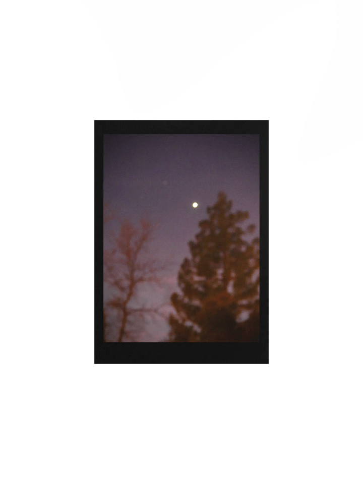 Purple Night product image (1)