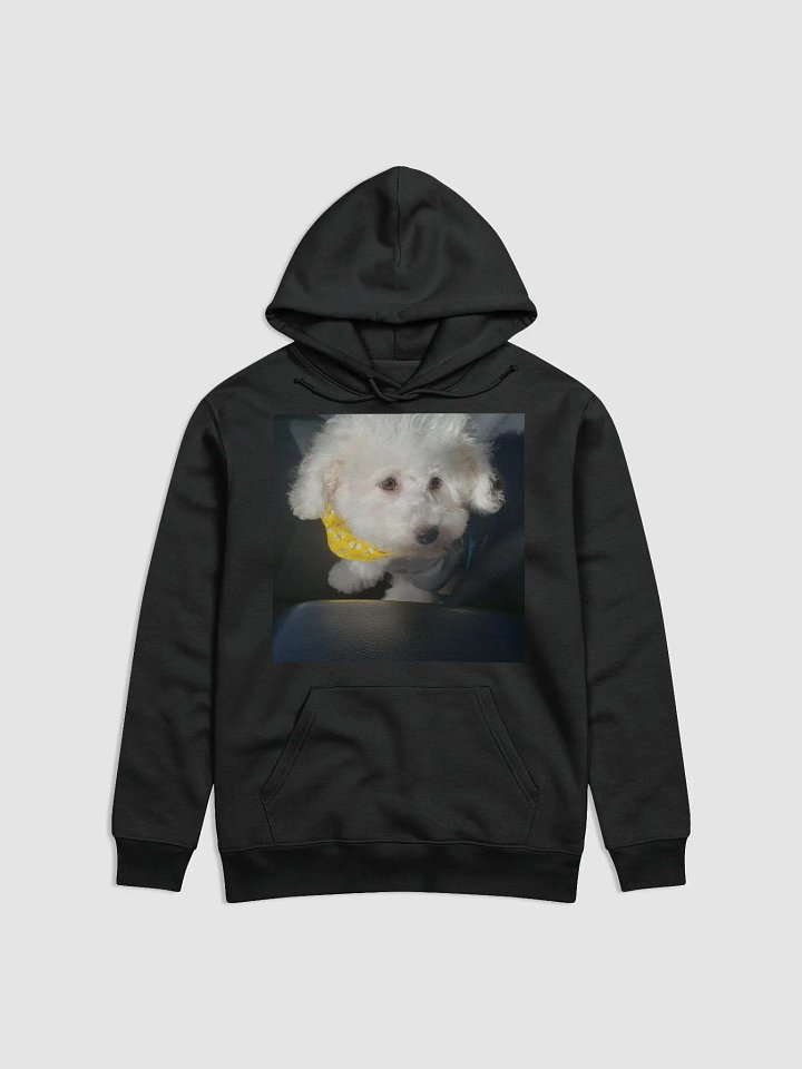 sweatshirt product image (1)