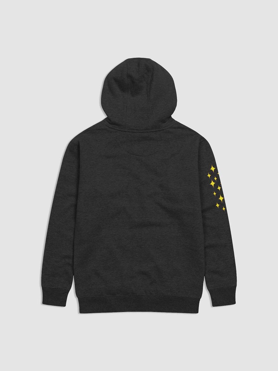 Professional shiny hunter hoodie product image (4)