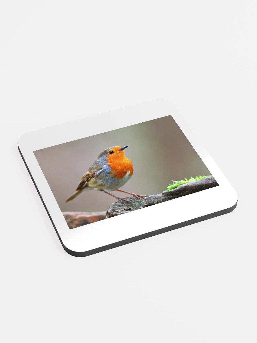 bird coaster product image (2)