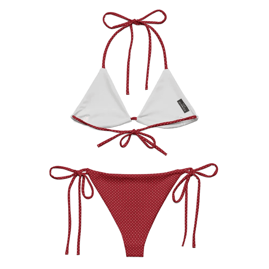 Gingham Cherry Low Rise Cheeky String Bikini With Red Polka Dot Bottoms product image (9)