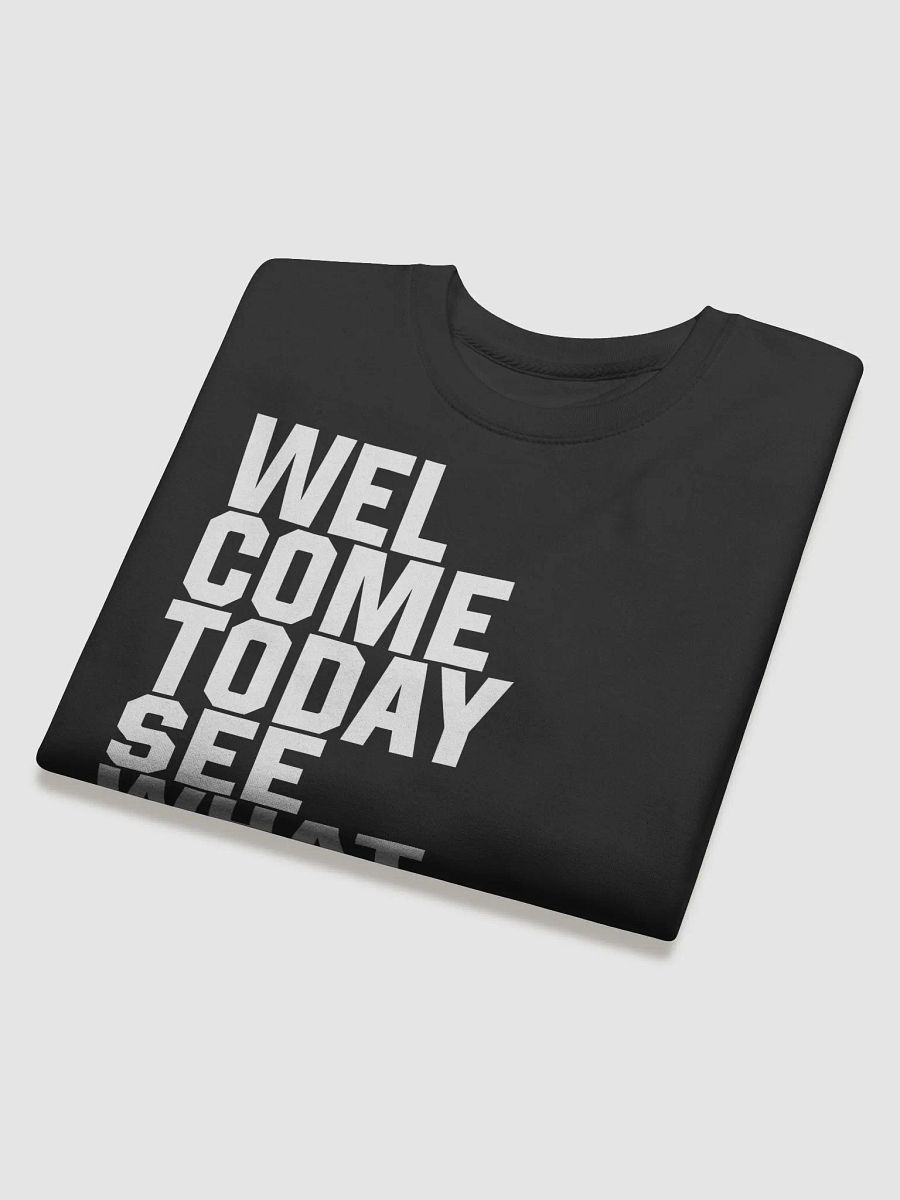 Back In The Day Premium Sweatshirt product image (4)