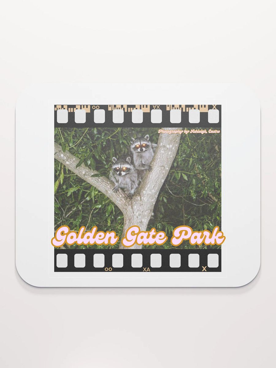 Golden Gate Park Raccoons Mouse Pad product image (2)
