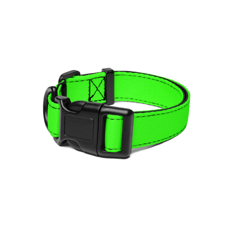 "Gracie Lou" Dog Collar product image (1)